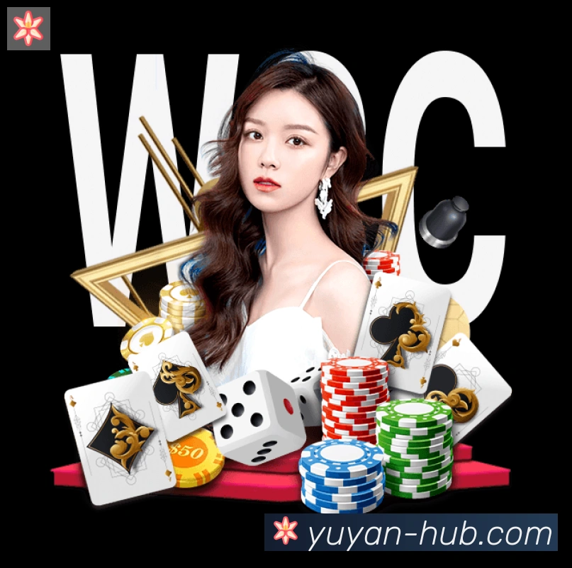未来规划